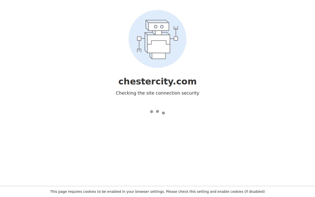 Chester criminal records City Police Department official gateway